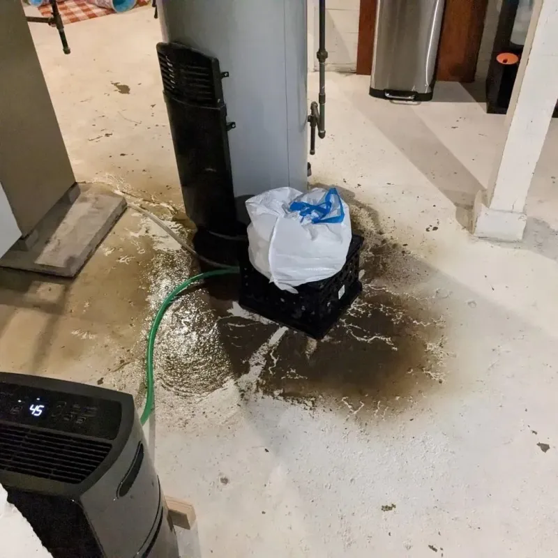 Sewage Backup Cleanup Service in Aplington, IA